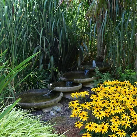 Chaumière à L'étang Des Anémones Casa vacanze