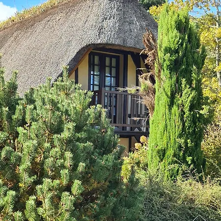 Chaumière à L'étang Des Anémones