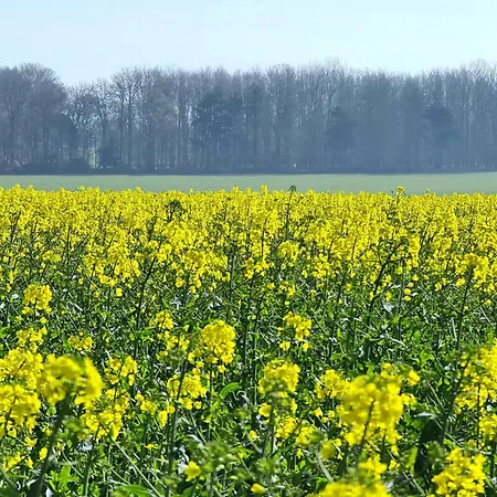 Chaumière à L'étang Des Anémones Casa vacanze Sainte-Helene-Bondeville